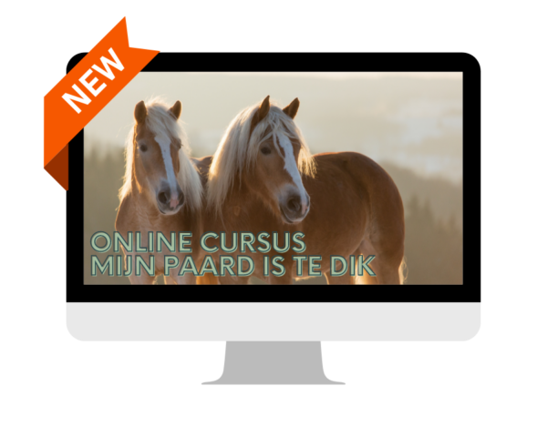 mini cursus overgewicht paard optimaal