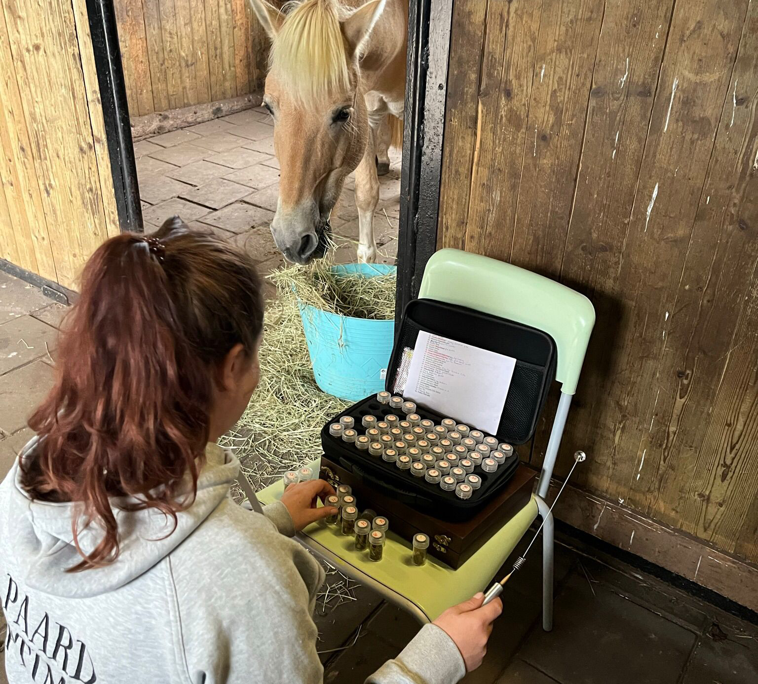 voermeting paard optimaal met biotensor