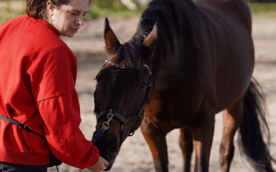 #20: Nee, je paard test je niet uit