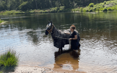 #21: Paardensport bij warm weer