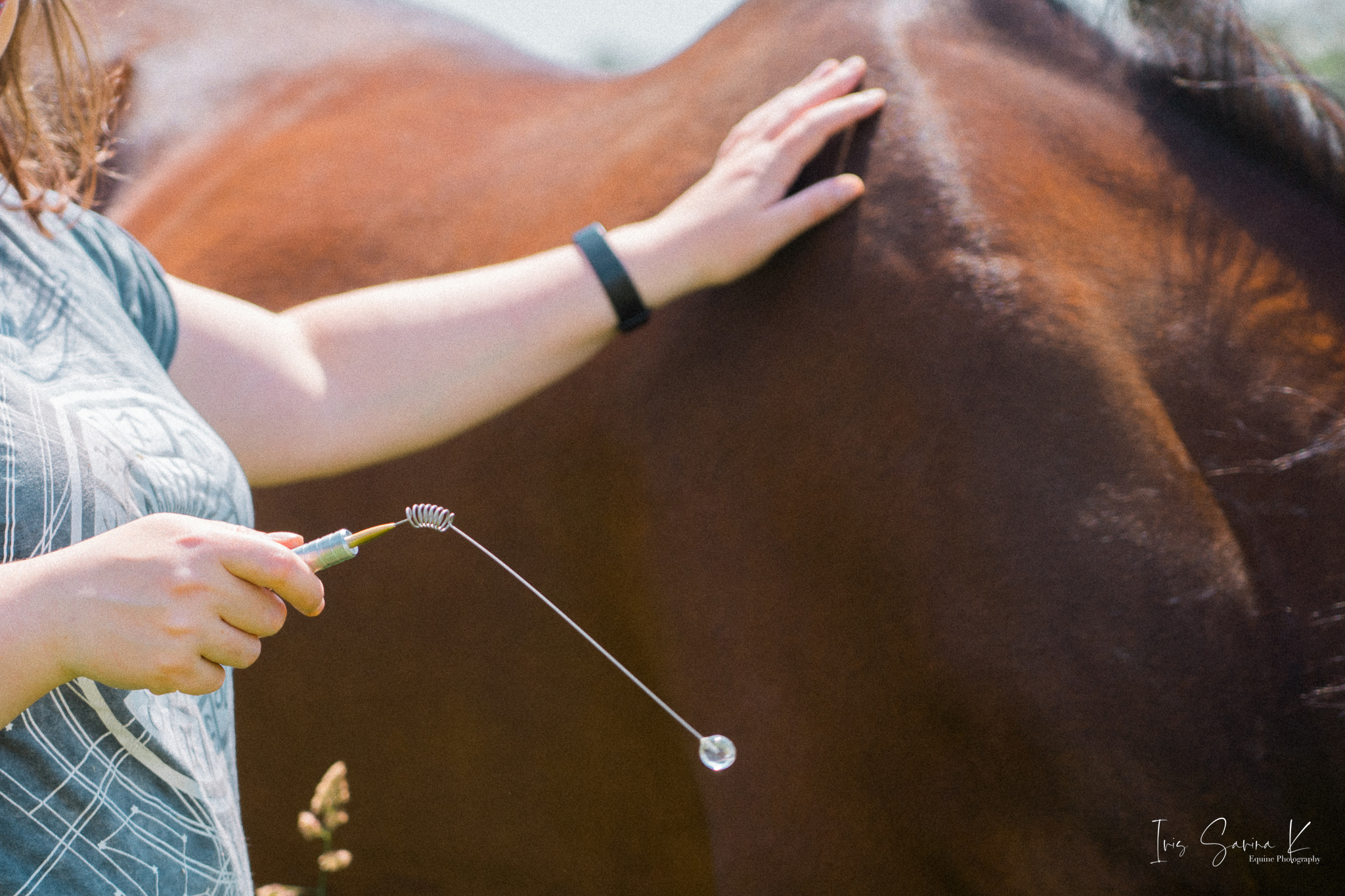 voermeting paard optimaal