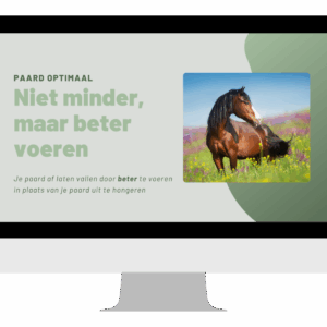 Opname webinar overgewicht